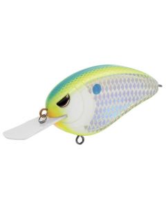 Citrus Shad