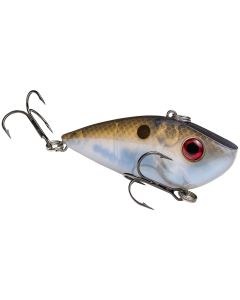 Blue Gizzard Shad