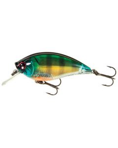 Prism Bluegill