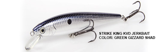 Strike King KVD Jerkbait