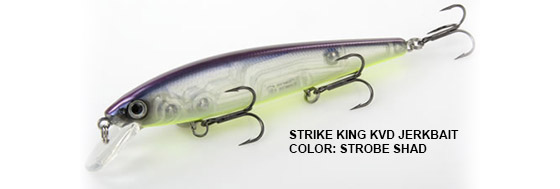 Strike King KVD Jerkbait